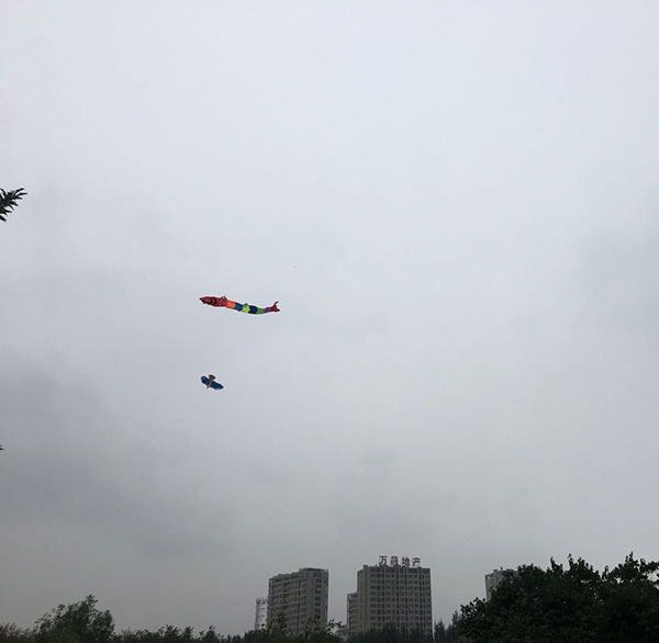 長春網(wǎng)站建設(shè)_長春網(wǎng)站制作_長春網(wǎng)站設(shè)計_網(wǎng)站建設(shè)_網(wǎng)站制作_網(wǎng)站設(shè)計_長春app開發(fā)_長春app制作