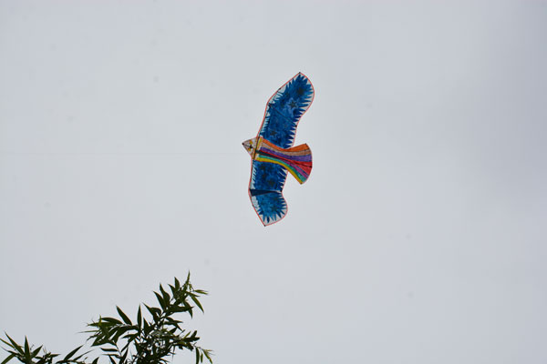 長春網(wǎng)站建設(shè)_長春網(wǎng)站制作_長春網(wǎng)站設(shè)計_網(wǎng)站建設(shè)_網(wǎng)站制作_網(wǎng)站設(shè)計_長春app開發(fā)_長春app制作